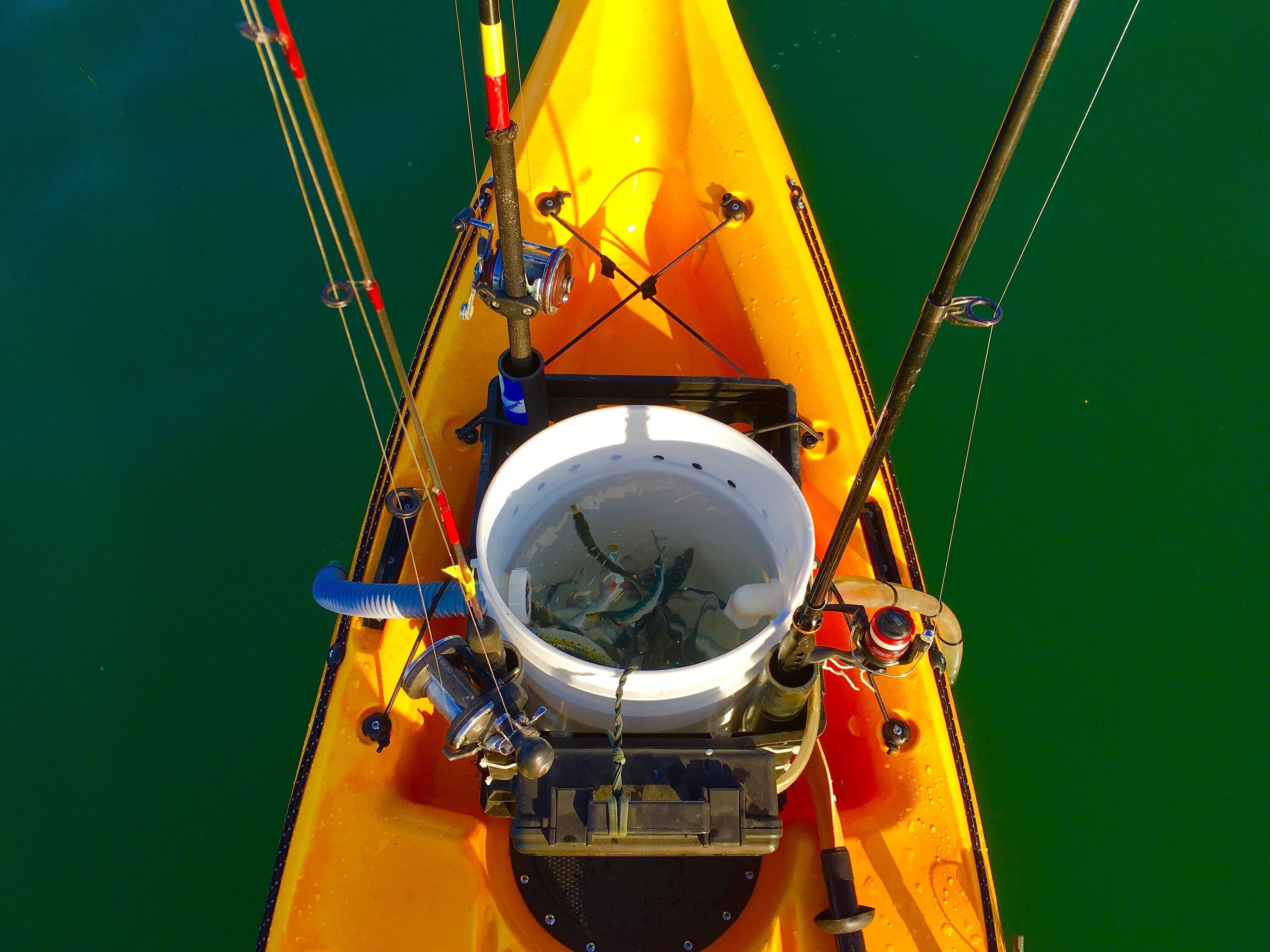Mako 12 Impulse Drive Kayak